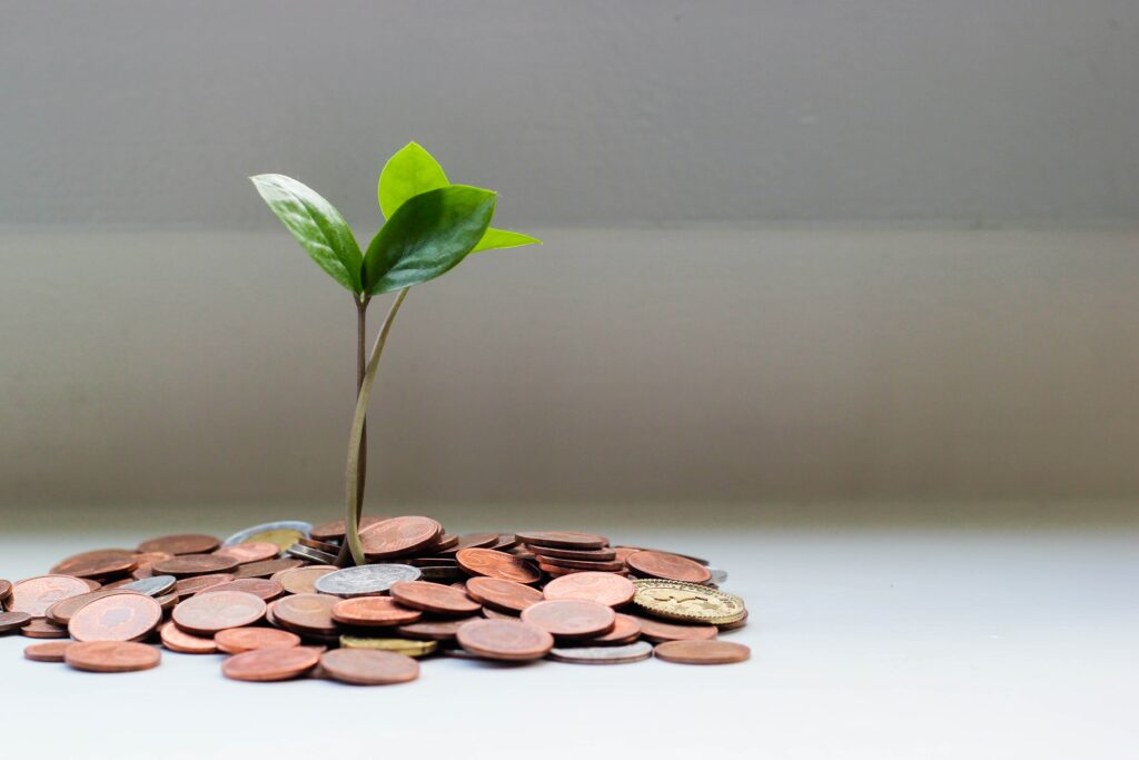 A plant growing out of a pile of 1p coins. In other words, a money tree.